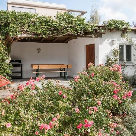 Haus Im Zentrum Mit Garten Bregenz Exterior foto